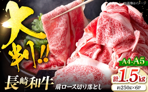 艶さし！【A4～A5】長崎和牛大判霜降り贅沢切り落とし 計1.5kg（250g×6パック）＜株式会社MEAT PLUS＞ [CFT030]