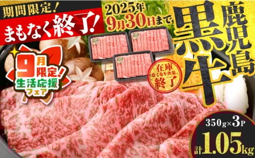 【 期間限定 生活応援 】（KH-301）鹿児島黒牛リブローススライスセット（計1.05kg）　K127-009_02