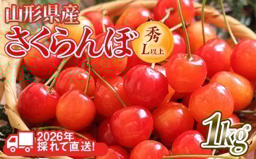 FYN6-251 ≪2026年先行予約≫山形県産 さくらんぼ 品種おまかせ(佐藤錦・紅秀峰など) 1kg(500g×2) 秀/L以上 バラパック詰め 2026年6月中旬頃より発送 果物 くだもの フルーツ 夏果実 サクランボ チェリー 桜桃 高級 化粧箱 ギフト箱 贈り物 贈答 ギフト プレゼント 自宅 家庭 産地直送 山形県 西川町 月山
