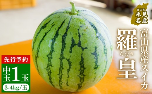 [先行予約]富山県産スイカ 羅皇 中玉 1玉 (3-4kg/玉) [2026年8月以降順次発送]
