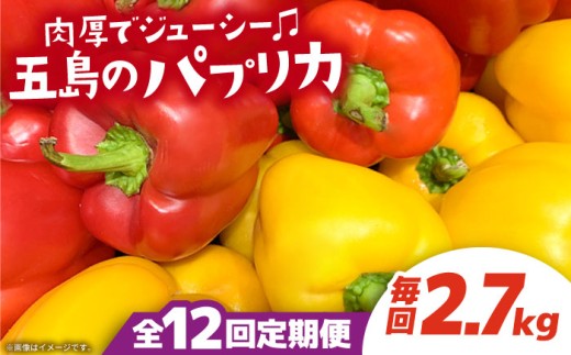 【全12回定期便】 五島のパプリカ 約2.7kg 五島市/HPIファーム [PCP006] 野菜 やさい 国産 新鮮 緑黄色野菜 産地直送 とれたて