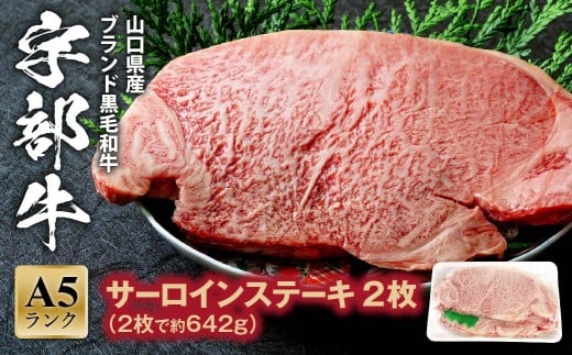 【宇部牛】 サーロインステーキ 2枚【山口県 宇部市 牛 牛肉 黒毛 和牛 ブランド 山口県唯一 地元発ブランド牛 希少 まちのお肉屋さん ストレスフリー オレイン酸60％以上 脂まで柔らかい おいしい 旨味 リピート】 585599 - 山口県宇部市