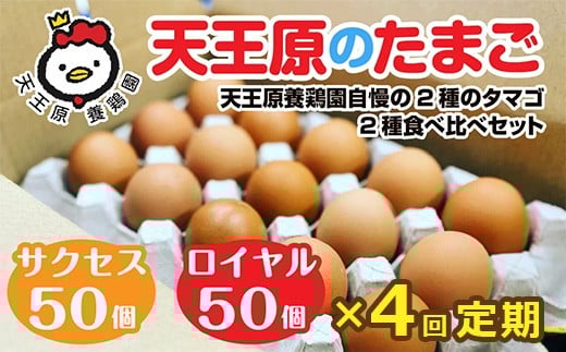 【定期便】4回定期 【天王原のたまご】 サクセス卵50個/ロイヤル卵50個【定期便 4回定期便 セット たまご 卵 玉子 タマゴ 濃厚  ハリ 弾力 ボリューム 甘味 旨味 卵黄 風味 生 コク 甘味 卵かけご飯 卵焼き 目玉焼き オムレツ 茶碗蒸し お菓子作り パンの材料】