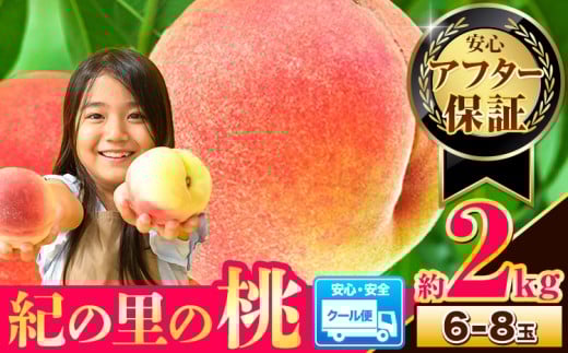 4年連続人気No.1!! 桃 もも~とろける甘さ~ 紀の里の桃 約2kg(6-8玉入り)【先行予約】《2026年6月中旬-8月中旬頃出荷》先行 桃 先行予約 もも 白鳳 日川白鳳 八旗白鳳 清水白桃 川中島白桃 つきあかり もも 白鳳 先行予約 もも川中島