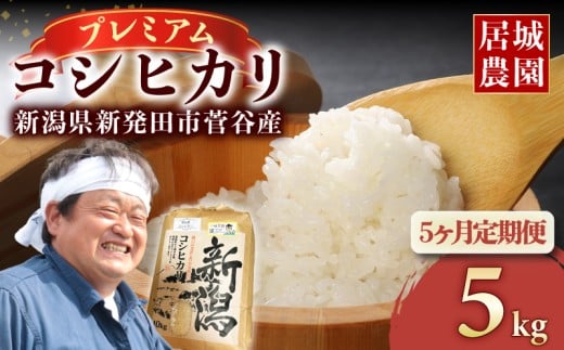 【定期便 2025年10月発送開始】プレミアム コシヒカリ 5kg 令和7年産 特別栽培米 定期便 5ヶ月 こしひかり プレミアムコシヒカリ 精米 白米 ご飯 おにぎり 弁当 新潟県産 新発田産 菅谷産 新潟 米 お米 こめ 居城農園 菅谷 新潟県 米 新潟県 新発田市 ijiro001_2025