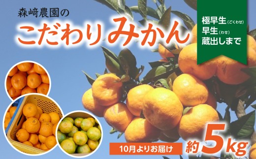 森﨑農園のこだわりみかん 約5kg 極早生～早生～蔵出しまで みかん ミカン 蜜柑 極早生 大分 極早生みかん 蔵出しみかん 早生 果物 フルーツ おやつ 常温 甘み 産地 直送 C09023