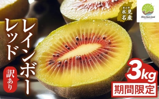 訳ありレインボーレッド3kg(小玉、異形、擦り傷、日焼け) 数量限定 希少 国産 甘い 氷見キウイランド 富山県 氷見市