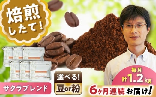 【全6回定期便】ブレンドコーヒー豆　サクラブレンド200g×6個(粉/中挽き)/ コーヒー  ドリップ  豆 / 瀬戸市 / Ｃｏｆｆｅｅ　ＳＡＫＵＲＡ [BBAB120]