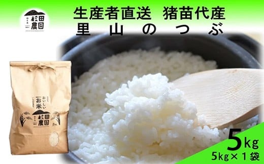 【令和7年度産 新米予約】 米 里山のつぶ 5kg 白米 精米 ※2025年11月下旬頃より順次発送予定 ※沖縄・離島への配送不可 2278535 - 福島県猪苗代町