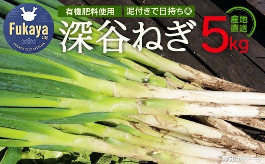 ＜先行予約＞柿澤農園　深谷ねぎ5kg（泥付き）　【11218-0407】
