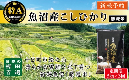 【無洗米】【令和７年産新米予約】【3か月定期便】10月発送開始《食味鑑定士厳選》日本棚田百選・十日町（魚沼）産こしひかり 5kg全3回 2280658 - 新潟県新潟県庁