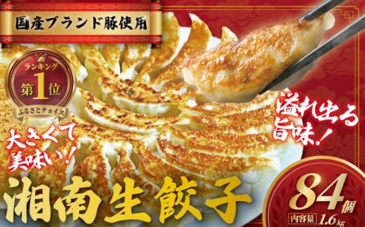 餃子 ぎょうざ 84個 (42個 × 2 パック) 肉汁たっぷり 大きい 国産 ブランド豚 ルイビ豚 小分け 豚肉 野菜 肉 湘南餃子 湘南ぎょうざ 焼き餃子 gyouza ギョーザ 冷凍餃子 生餃子 冷凍 ご飯 おかず 冷凍食品 中華 おつまみ 簡単調理 時短 簡易包装 手作り餃子 サノフーズ 神奈川 湘南 藤沢 2222872 - 神奈川県藤沢市