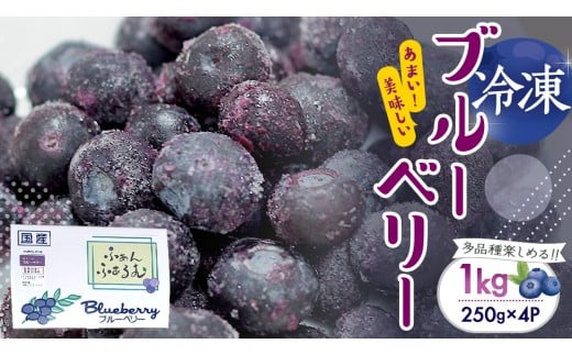 【2025年7月中旬から発送開始】 茨城県産 冷凍 ブルーベリー 合計 1kg (250g×4袋) 多品種 果実 果物 くだもの フルーツ おやつ ブルーベリー ベリー ジャム 小分け [DZ018sa]