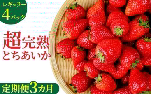 【先行受付：1月中旬以降発送】＜3回定期便＞いちご 「茂木完熟いちご」　矢野農園 とちあいか レギュラーサイズ 約270g × 4パック 合計 約1080g | いちご イチゴ 苺 とちあいか 完熟 甘い あまい 果物 フルーツ 矢野農園 栃木県 茂木町