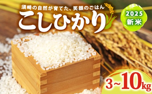 2025 新米 コシヒカリ 選べる 3kg 5kg 10kg 産地直送 新米 8月下旬 から 順次配送 高知県産 白米 精米 こしひかり 米 常温 配送 ブランド米 国産 米 人気 匠 高知県 須崎 SDM001-ALL