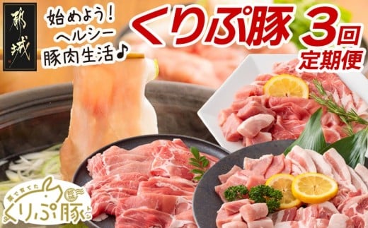 始めよう！ヘルシー豚肉生活 「くりぷ豚」3回定期便_T24（3）-G201_(都城市) 焼肉セット しゃぶしゃぶセット 家庭料理セット 3回 ブランド豚定期便