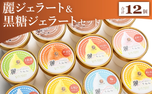 【詰め合わせ】ジェラート 麗ジェラートと黒糖ジェラート 12個セット - アイスクリーム デザート スイーツ お菓子 洋菓子 詰合せ 詰め合わせ アソート フレーバー ギフト 贈り物 ドルチェかがみ 高知県 香南市 冷凍 dc-0073