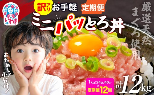 〈定期便12回〉ねぎとろ使い切りパック　約1kg（約40g×24パック） | まぐろ まぐろたたき ねぎとろ マグロ パーティー 使い切りパック 海鮮丼 お寿司 軍艦巻き 福島県 いわき市 父の日 | DK011-1kg-t12 2278325 - 福島県いわき市