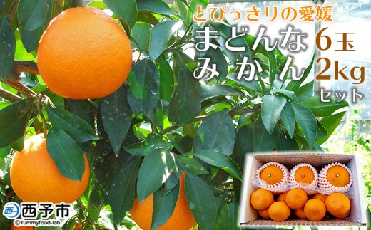 紅まどんなと同品種！＜とびっきりの愛媛 まどんな6玉＆温州みかん約2kgセット＞果物 柑橘 フルーツ マドンナ 愛媛果試第28号 ミカン 蜜柑 期間限定 特産品 産地直送 片山果樹園 西宇和 愛媛県 西予市【常温】『2025年12月中旬より順次発送予定』 254325 - 愛媛県西予市