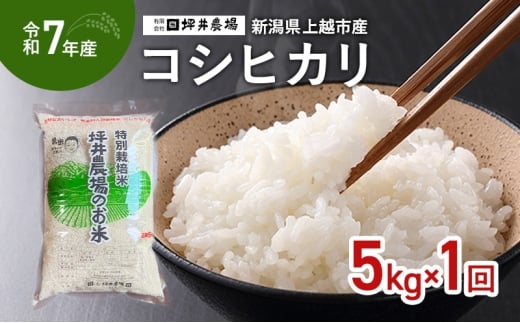 [10月上旬より順次出荷]令和7年産 新潟県 上越市産 コシヒカリ 5kg 精米