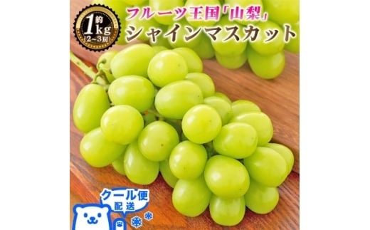 2026年発送 山梨県産 シャインマスカット 約1kg(2～3房) 山梨が誇る人気果物 熟練農家厳選【1272524】