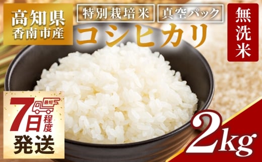 【7日程度で発送】無洗米 2kg 特別栽培米 真空パック コシヒカリ 国産 高知県香南市産 米 お米 おこめ こしひかり 白米 ｺｼﾋｶﾘ むせんまい 2kg ごはん おにぎり おむすび ムセンマイ 2kg ﾑｾﾝﾏｲ 2kg ご飯 防災 非常食 備蓄 農業公社 高知県 香南市 常温 nu-0001