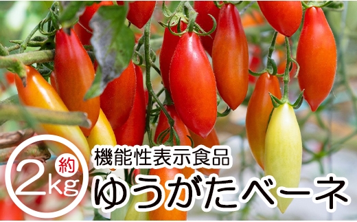 【2025年12月以降順次配送】機能性表示食品 ミニトマト ゆうがたベーネ 2kg - ミニトマト プチトマト フルーツトマト ギフト のし対応 高糖度 お歳暮 御歳暮 贈答用 贈り物 is-0014