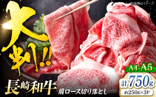 艶さし！【A4～A5】長崎和牛大判霜降り贅沢切り落とし 計750g（250g×3パック）＜株式会社MEAT PLUS＞ [CFT027]