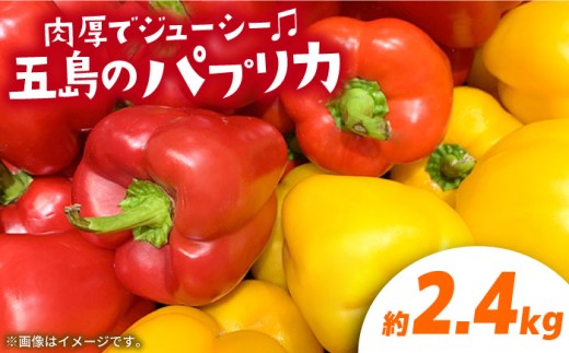 【肉厚ジューシー】五島のパプリカ 約2.4kg 五島市/HPIファーム  [PCP009] 野菜 やさい 国産 新鮮 緑黄色野菜 産地直送 とれたて