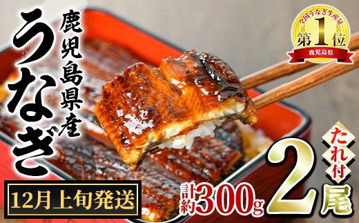 【0124326a-2512】＜12月上旬発送予定＞東串良町のうなぎ蒲焼(無頭)(2尾・計約300g・タレ、山椒付) うなぎ 高級 ウナギ 鰻 国産 蒲焼 蒲焼き たれ 鹿児島 ふるさと 人気 【アクアおおすみ】