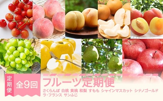 【先行予約】フルーツ定期便 全9回 さくらんぼ 白桃 黄桃 和梨 すもも シャインマスカット りんご ラ・フランス 秀品 2026年産 令和8年産 ※沖縄・離島への配送不可 sb-ft9xxx