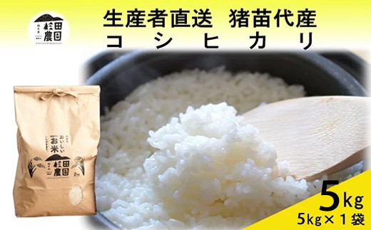 【令和7年度産 新米予約】 米 コシヒカリ 5kg 白米 精米 ※2025年11月下旬頃より順次発送予定 ※沖縄・離島への配送不可 2278538 - 福島県猪苗代町