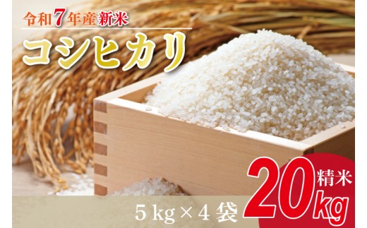 【2025年9月中旬より順次発送】★新米★R7年産 コシヒカリ 20kg(5kg×4袋)｜米 お米 白米 精米 新米 R7年産 令和7年産 こしひかり コシヒカリ 茨城県 茨城県産 行方市(HA-15) 966027 - 茨城県行方市