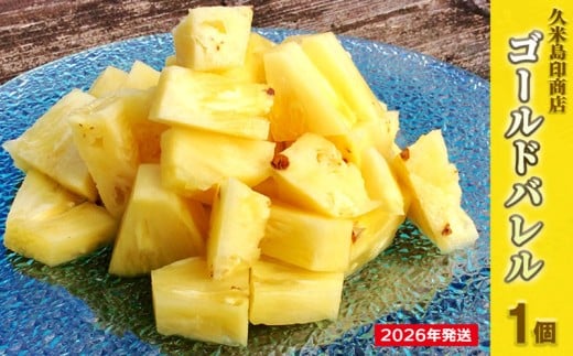 【2026年発送】久米島印商店「ゴールドバレル」黄金パイナップル1個（1.3kg以上×1個） パイナップル パイン ゴールドバレル 最高級 黄金 樽 甘い ジューシー まろやか ギフト 贈り物 ジュース アイス スムージー フルーツ デザート 果物 南国 沖縄 久米島