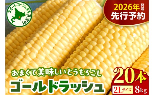 【先行受付】【2026年8月上旬～8月下旬頃配送】北海道十勝芽室町 とうもろこし ゴールドラッシュ 2Lサイズ 20本セット me078-010c-26
