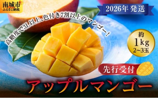(先行受付)【2026年発送】アップルマンゴー 南城市 約1kg (2～3玉)