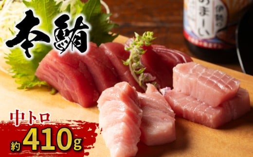 本マグロ 中トロ 410g 冷凍／本マグロ 本鮪 マグロ まぐろ クロマグロ 専門店 ブランド  切り落とし 切り落し 不揃い 規格外 鮪 刺身 刺し身 お刺身 三重県 伊勢志摩  南伊勢町 10000円 一万円 1万円  伊勢志摩まぐろ食堂
