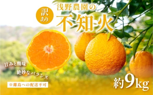 【先行予約】訳あり 不知火 計9kg ※離島への配送不可（2026年2月中旬頃より順次発送予定） 【 ふるさと納税 人気 おすすめ ランキング 柑橘 みかん ミカン フルーツ 果物 でこぽん デコポンと同品種 愛媛 愛媛県産 愛媛みかん 浅野農園 愛媛県 伊方町 送料無料 】IKTAC030 2237183 - 愛媛県伊方町