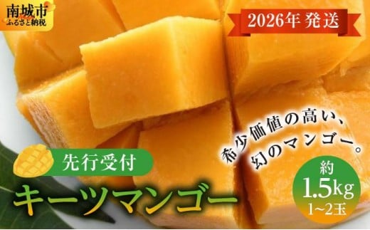 (先行受付)【2026年発送】キーツマンゴー 南城市 約1.5kg (1～2玉)