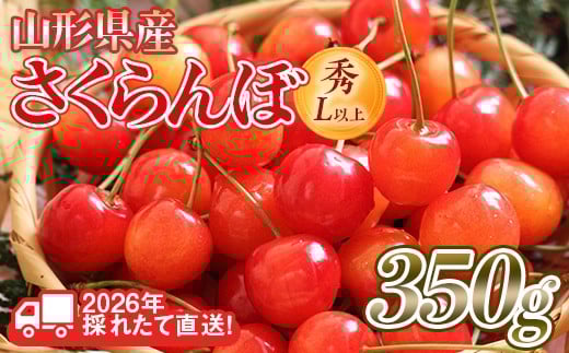 FYN6-254 ≪2026年先行予約≫山形県産 さくらんぼ 品種おまかせ(佐藤錦・紅秀峰など) 350g 秀/L以上 バラパック詰め 2026年6月中旬頃より発送 果物 くだもの フルーツ 夏果実 サクランボ チェリー 桜桃 高級 化粧箱 ギフト箱 贈り物 贈答 ギフト プレゼント 自宅 家庭 産地直送 山形県 西川町 月山