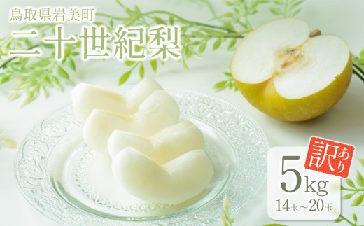 【先行予約】（訳あり）中野農園 梨 ”二十世紀梨” 5kg箱｜鳥取 岩美 梨 なし ナシ 20世紀梨 青梨 果物 フルーツ【41027】