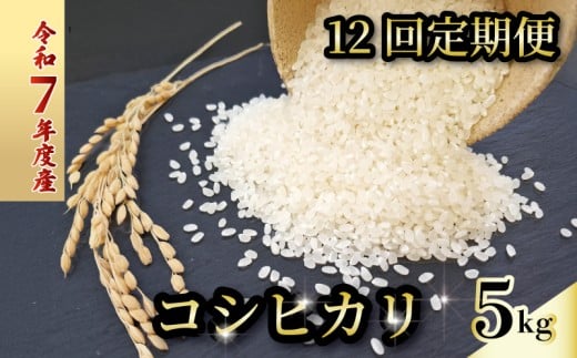 【お米定期便】 【12回】 令和7年度 コシヒカリ 数量限定 各5キロ 米 コメ 減農薬栽培 お米 精米 早場米 新米 ご飯 おにぎり こめ 白米 低化学肥料 高知県 南国市