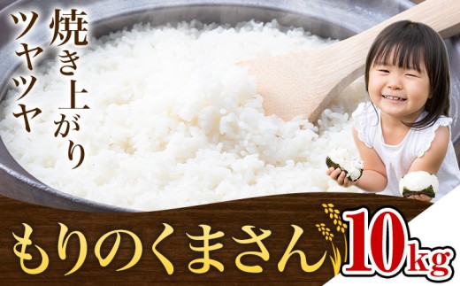 米 もりのくまさん 米 計10kg 《30日以内に出荷予定(土日祝除く)》 お米 こめ 熊本県産 精米 ブランド米 ご飯