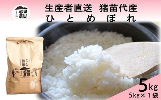 【令和7年度産 新米予約】 米 ひとめぼれ 5kg 白米 精米 ※2025年11月下旬頃より順次発送予定 ※沖縄・離島への配送不可 2278537 - 福島県猪苗代町