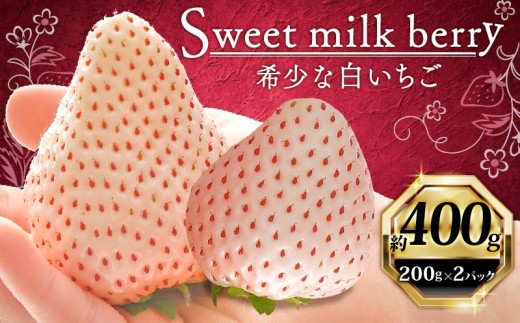 いちご 白いちご 計 400g 計 2 パック 高級 白 イチゴ 苺 セット Sweet milk berry  2 パック 200g × 2 パック フルーツ 果物 ストロベリー 産地直送 国産 スイーツ デザート くだもの イチゴ 果物 贈答用 ギフト 畠農宝 静岡県 牧之原市 2292770 - 静岡県牧之原市