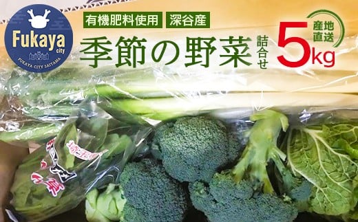 ＜先行受付＞柿澤農園　季節の野菜詰合せ　【11218-0408】