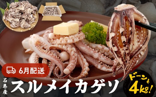 いか 〈 訳あり 〉6月配送 宮城県産 スルメイカ ゲソ 4kg 冷凍 国産 スルメイカ いか 下足 イカ イカゲソ カルパッチョ おつまみ 魚介類 焼イカ イカ料理 バーベキュー BBQ わけあり 不揃い 烏賊 炒め物 フライ ゲソ天 唐揚げ 石巻応援