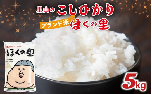 【先行予約】里山のこしひかり ほくの里 5kg × 1袋【1月配送】 | 