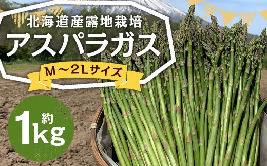 北海道産 露地栽培 アスパラガス M～2L 約1kg 【2026年5月下旬～6月上旬迄発送予定】 グリーンアスパラガス アスパラ 野菜 北海道 京極町 冷蔵