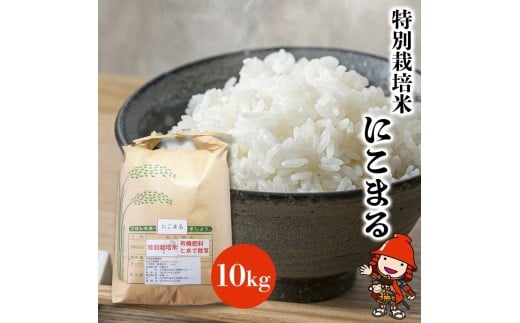 特別栽培米 にこまる 10kg | お米 米 おこめ こめ 精米 白米 ご飯 ごはん 10キロ 大分県産 九州産 大分県 中津市